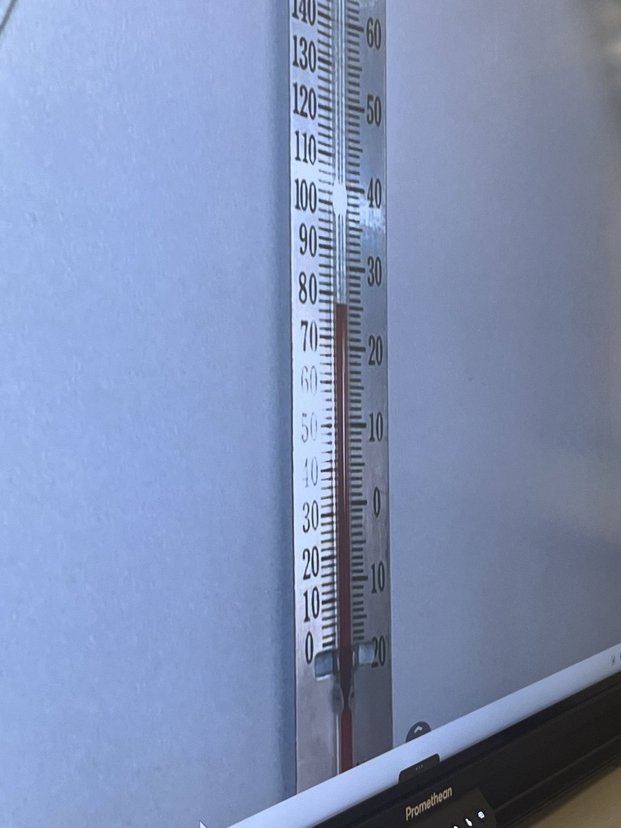 Vanessa Codd tweet media