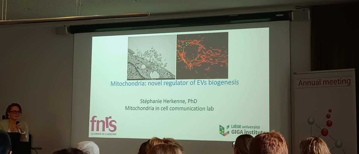 Kenneth Verboven (@kennethverboven) on Twitter photo Annual <a href="/BESEV_/">Belgian Society for Extracellular Vesicles</a> meeting in Liege nicely united Belgian #extracellularvesicles lovers, where young scientists discussed their latest results👩🏽🏫
Excited to learn about the role of mitochondria in EV biogenesis, leaving opportunities in #exercise based therapies in metabolic disease🤩 Annual <a href="/BESEV_/">Belgian Society for Extracellular Vesicles</a> meeting in Liege nicely united Belgian #extracellularvesicles lovers, where young scientists discussed their latest results👩🏽🏫
Excited to learn about the role of mitochondria in EV biogenesis, leaving opportunities in #exercise based therapies in metabolic disease🤩