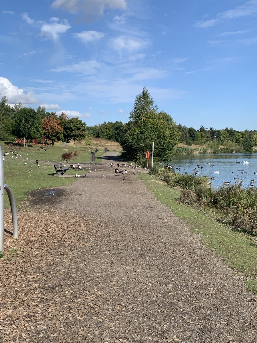 MarkFitz90 tweet media