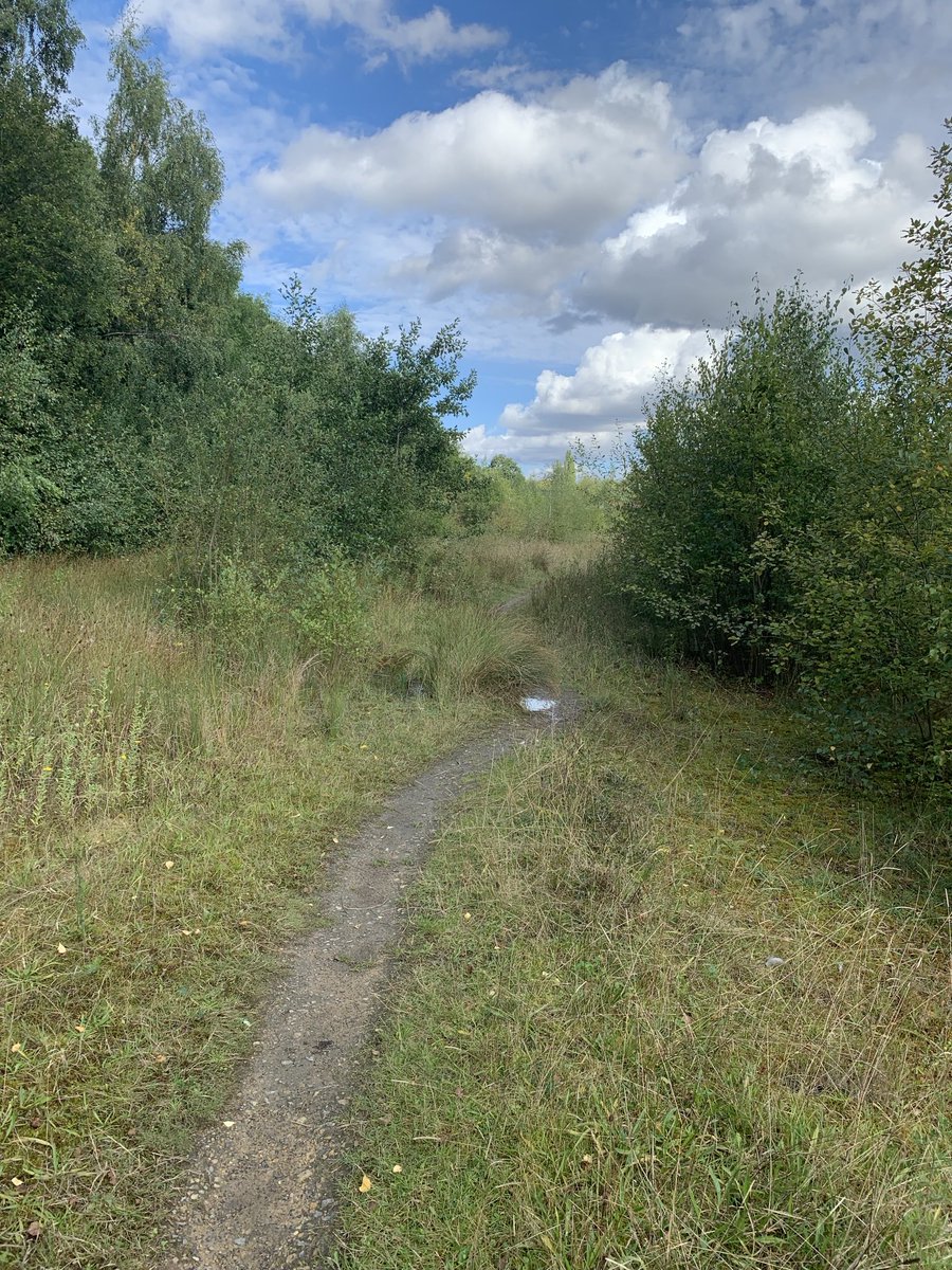 MarkFitz90 tweet media