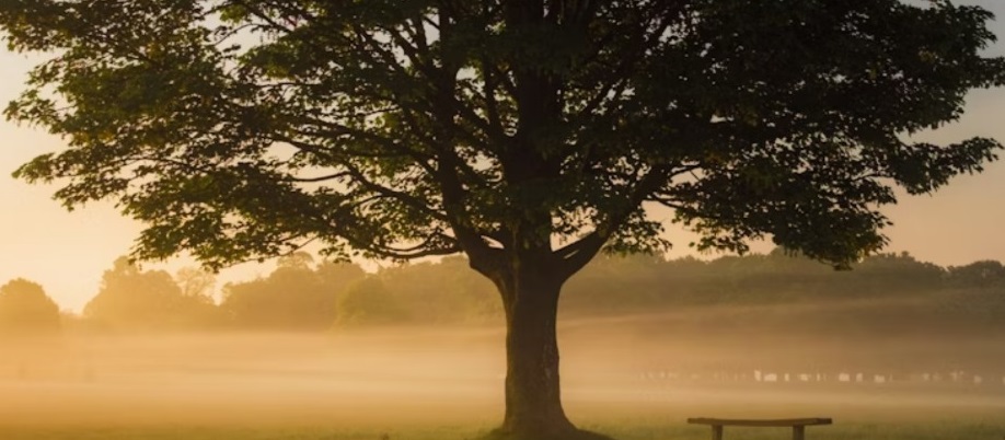 40 people are journeying with us into rest for Blessed are the Weary. There is still time to sign up!

Join us as we embody and practice rest in a busy world. #BlessedWeary