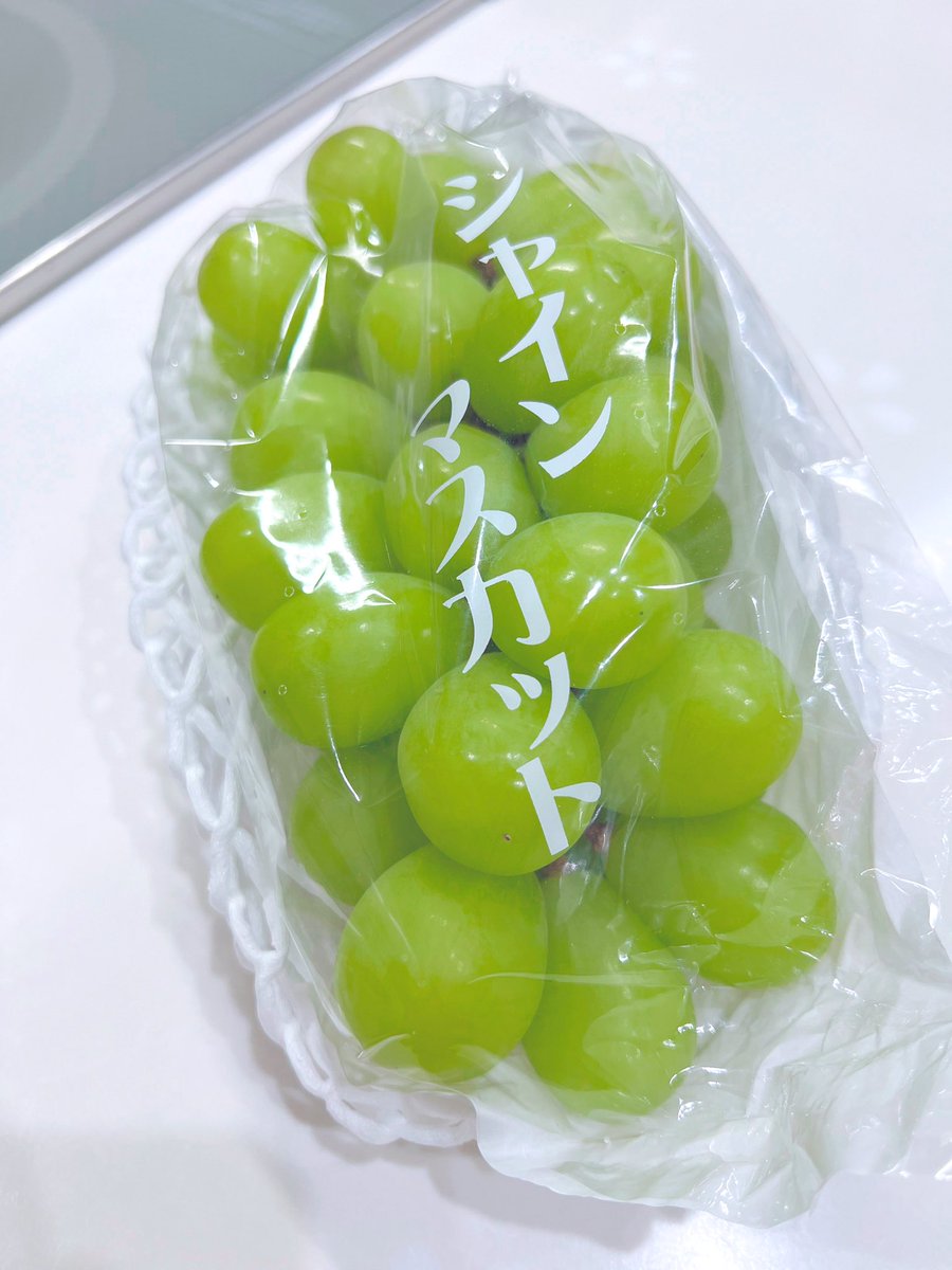 仕事やら何やらバタバタ
数日振りX浮上
皆さんいかがお過ごしでしょうかね☺️
👍ピコピコしていきましょ🐾
義母さん旅行のお土産
シャインマスカット
果物の中で1番好き