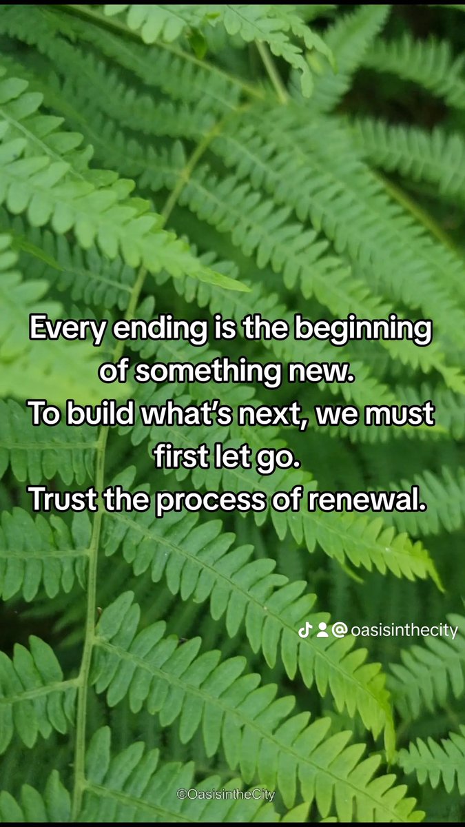 Letting Go to Grow. Oasis in the city - Mindful Moments 
#oasisinthecity #mindfulness 
#resilience #abundance