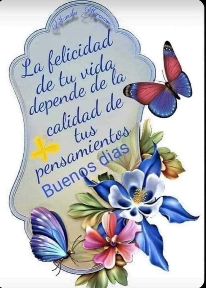 Alberto140781's tweet photo. @BelliAsesora https://t.co/oMOM72VXTA