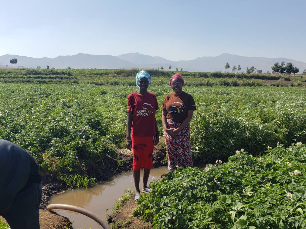 CorpsAfrica/Malawi tweet media