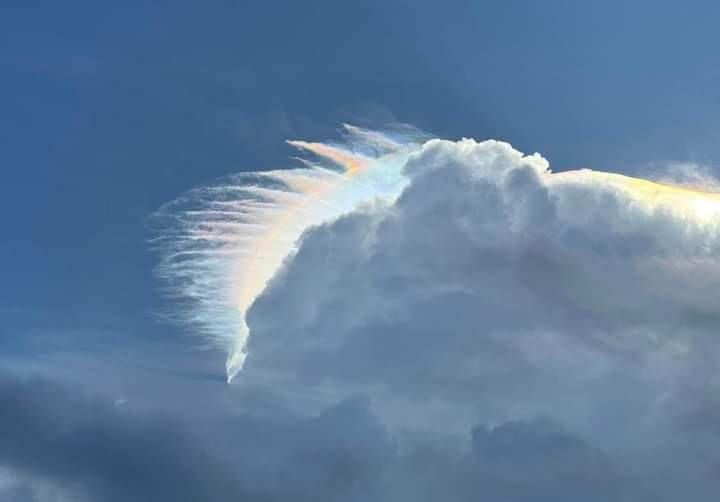 AquariusGate's tweet photo. WOW! More miraculous signs - iridescent clouds - in the skies of Florida, USA, during September of 2024. Light Codes 🌈✨️🌈
📷 B. Stewart https://t.co/gudq6WcGj3