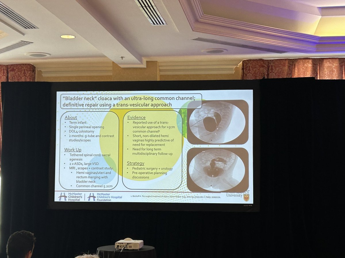 MacPedSurg's tweet photo. Our newest attending surgeon, Dr. Nathalie Carey, presenting on our experience with the management of long-channel cloaca at @CAPSsurgeons. Her custom artwork is on point! https://t.co/jiwOxJj64U