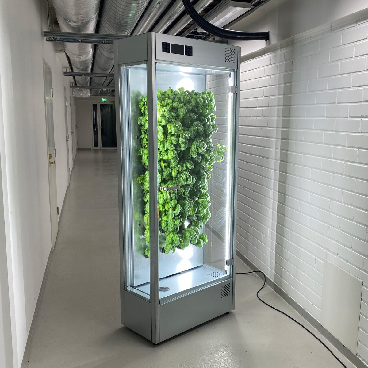 Arctic Farming (@arcticfarming) on Twitter photo Difficulty conducting plant research and experiments in-house? #laboratory #research can be challenging without the right tools… HRBYE® #indoorfarming platform offers precision-controlled environments perfect for plant, cosmetics and medical research
hubs.la/Q02PP4L10 Difficulty conducting plant research and experiments in-house? #laboratory #research can be challenging without the right tools… HRBYE® #indoorfarming platform offers precision-controlled environments perfect for plant, cosmetics and medical research
hubs.la/Q02PP4L10