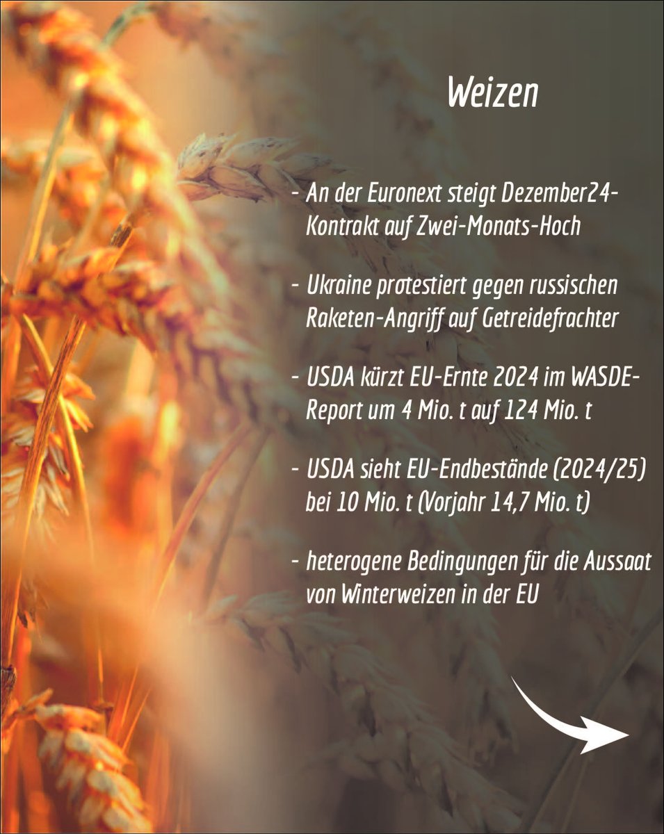 kaack_gmbh's tweet photo. Wochenrückblick 09.09.-13.09.24 für Weizen, Ölsaaten & Mais
#kaack #weizen #oelsaaten #raps #soja #sojabohnen #mais #landwirtschaft #agrar #agrarwirtschaft #markt #terminmarkt #boerse #euronext #cbot #wheat #oilseeds #soybeans #corn #wasde #usda https://t.co/jm14u5JNcd