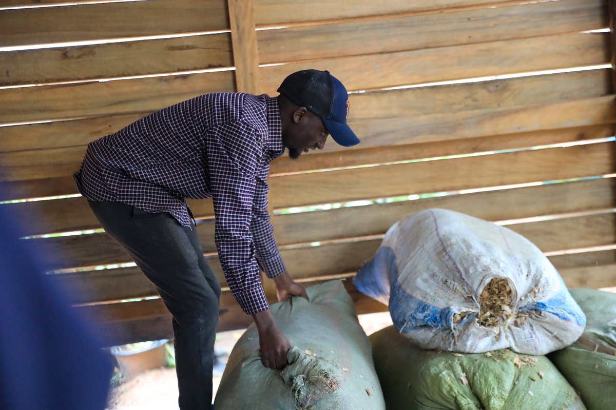 Meeting Point International tweet media