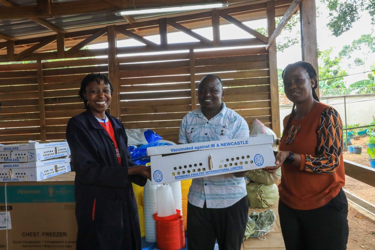 Meeting Point International tweet media