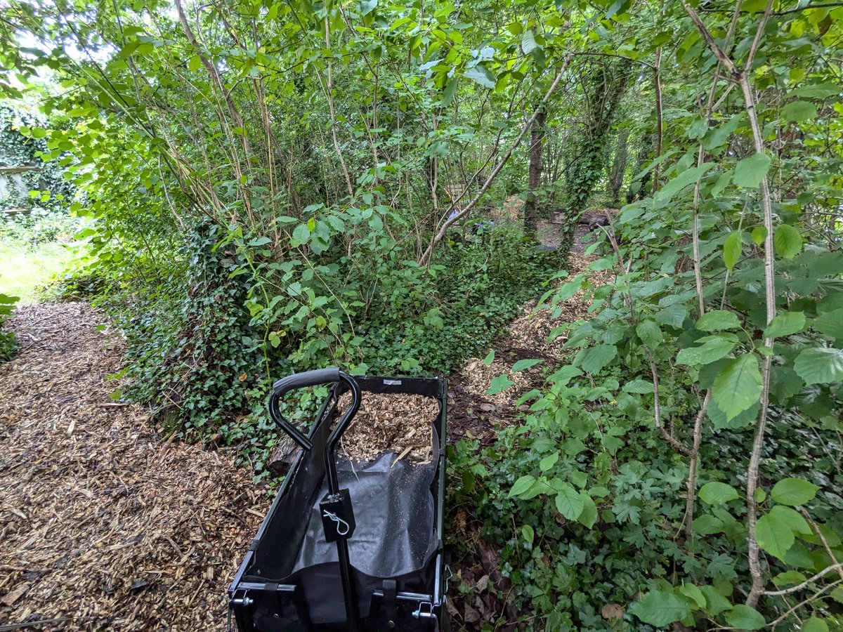 We have a new volunteer group to help manage our habitats. The Wilder School Team will tackle a range of tasks once a month. Today we shifted a bark chippings to reinstate pathways in our 'copse' outdoor learning area. #TeamWilder #WilderSchool #HampshireSchools #outdoorlearning