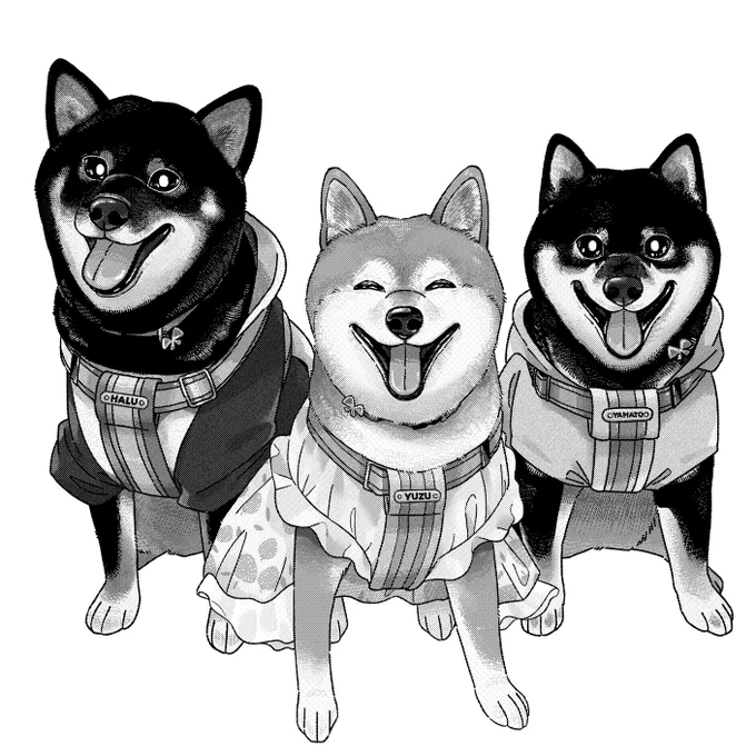 描かせていただきました! 