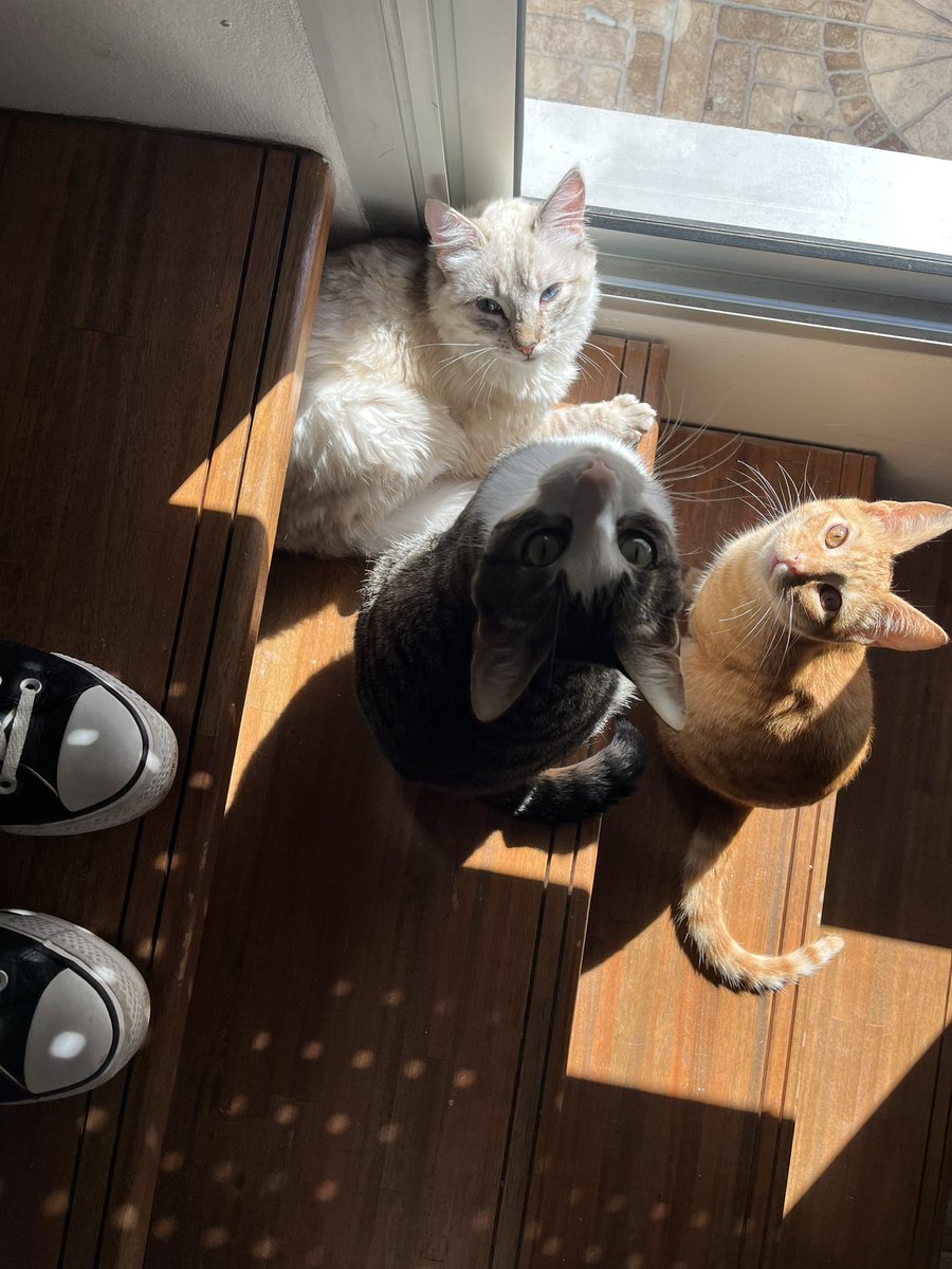 En que momento crecieron tanto 🥹😍