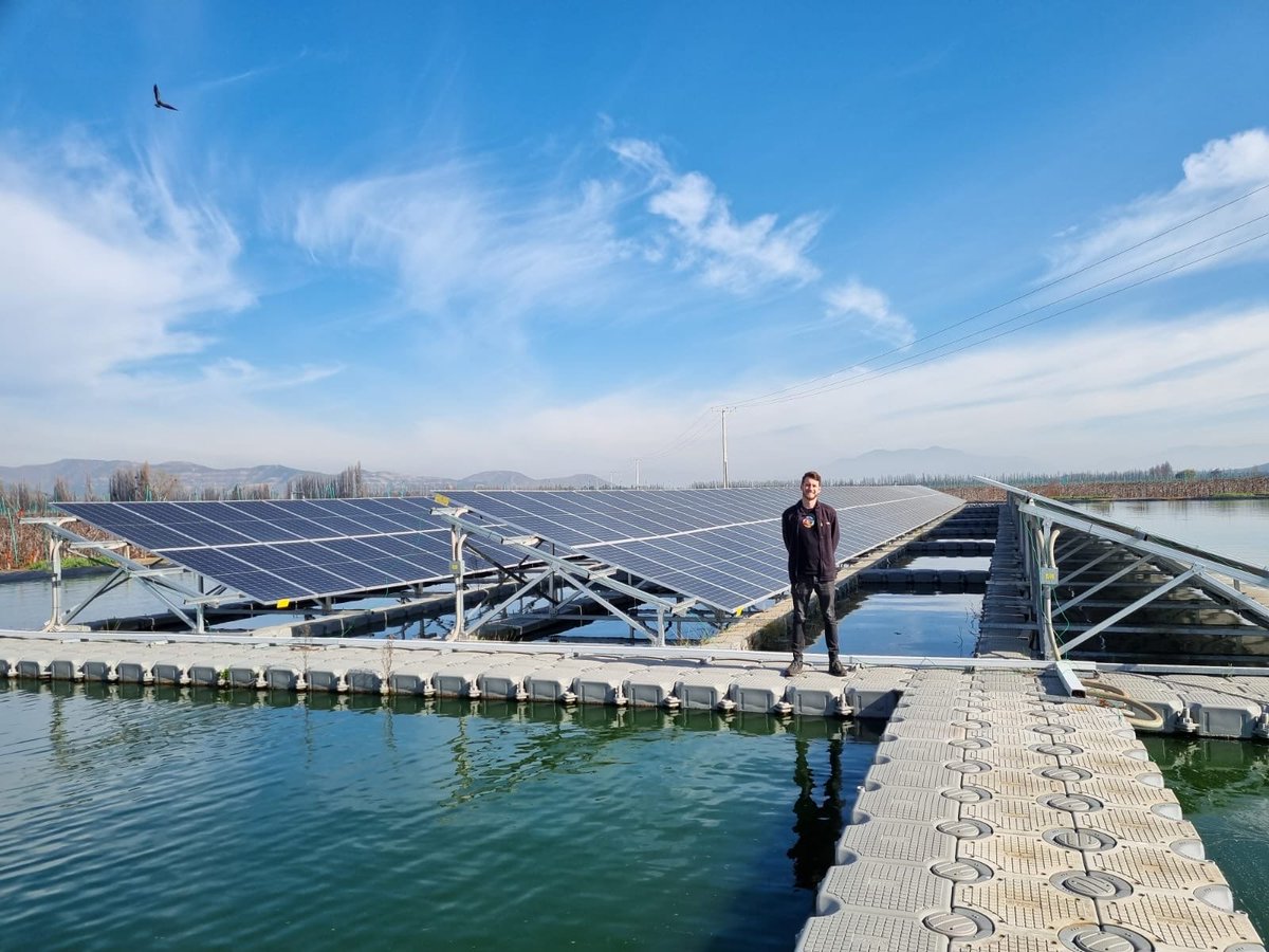 Helios ☀️=💰 tweet media