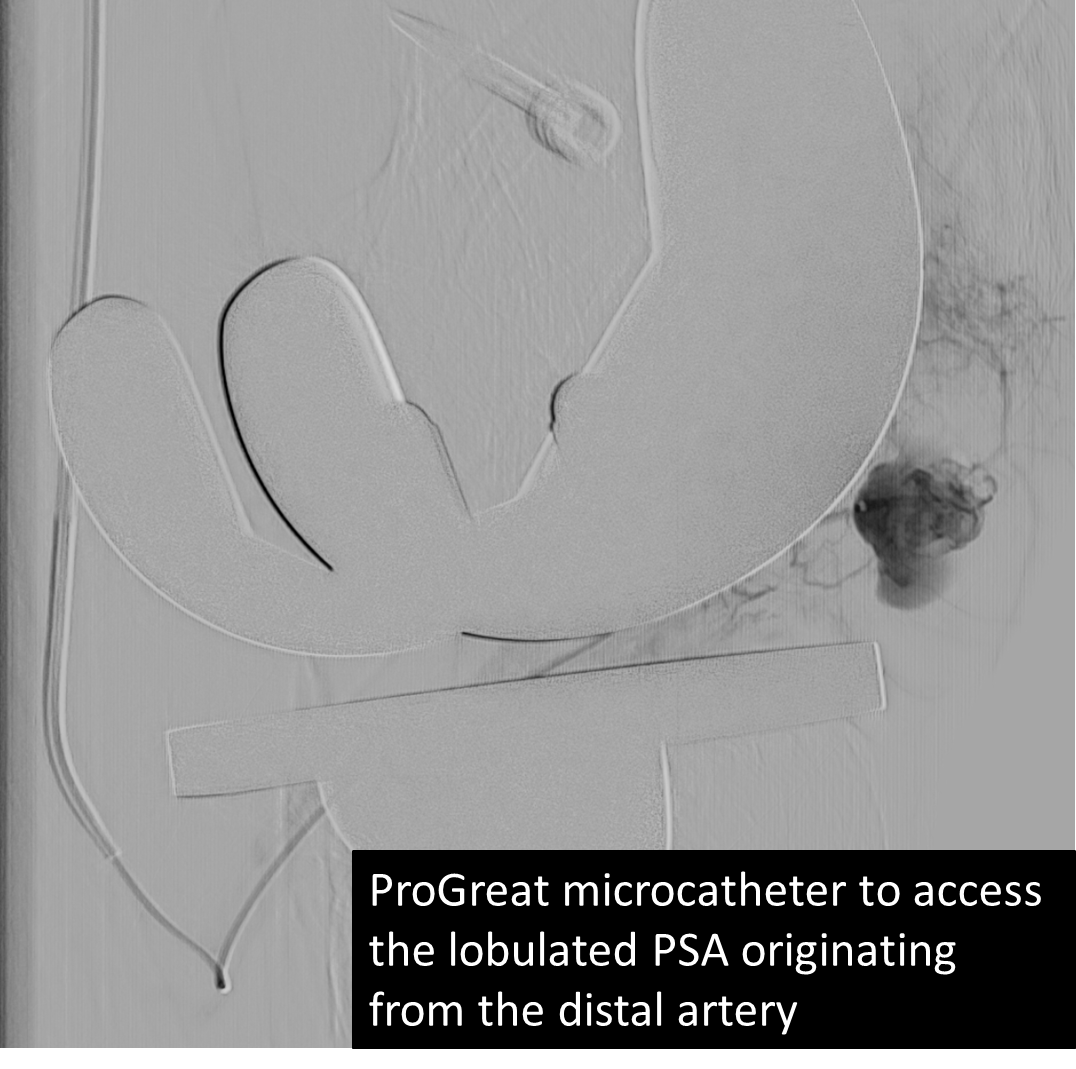 University of Arizona VIR tweet media