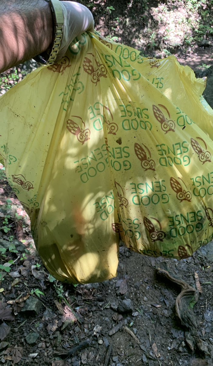 Poke Plastic tweet media