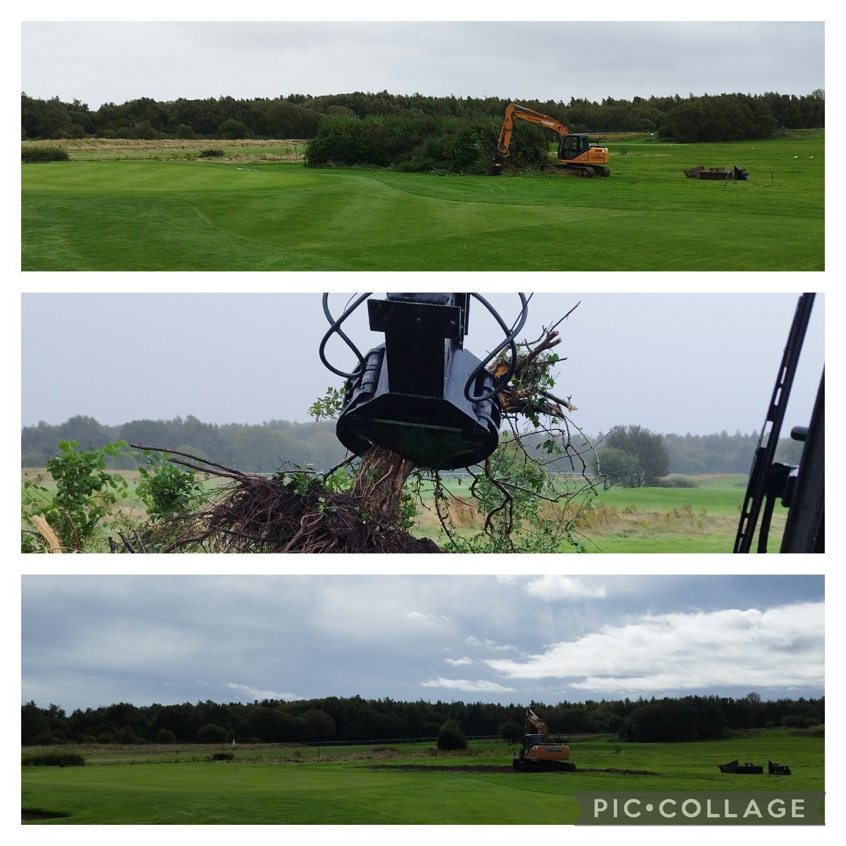 Chris Cardinal tweet media