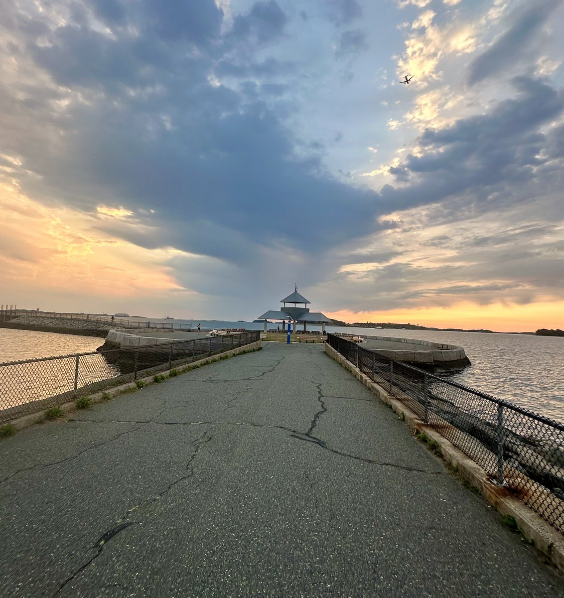 Nicole DiMaggio tweet media