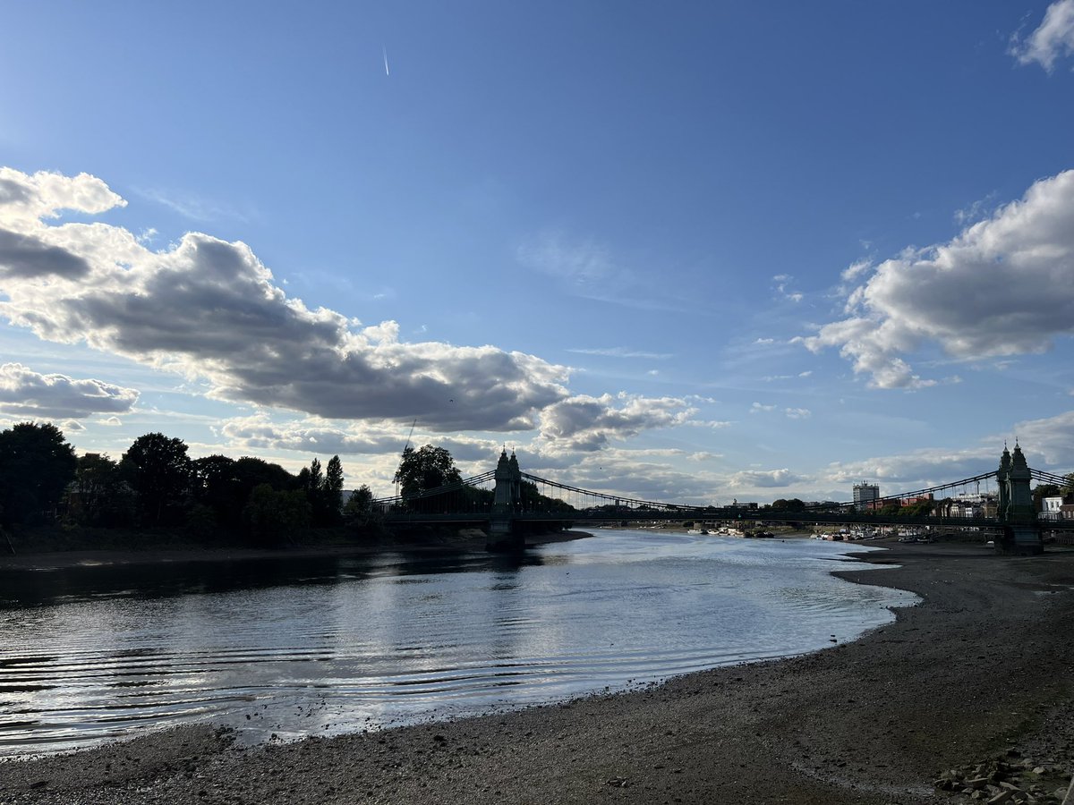 Miss Beadles tweet media