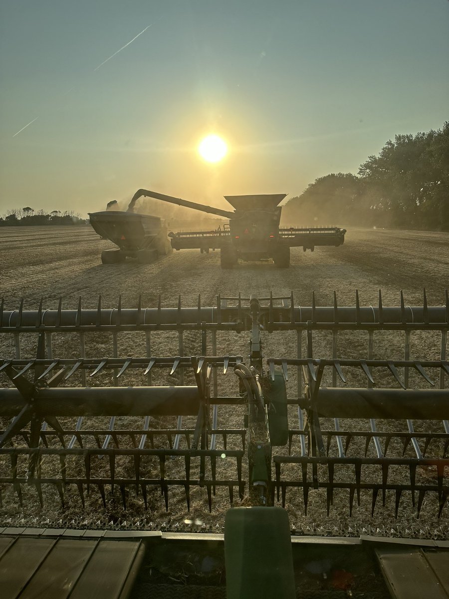 Greg Thykeson tweet media