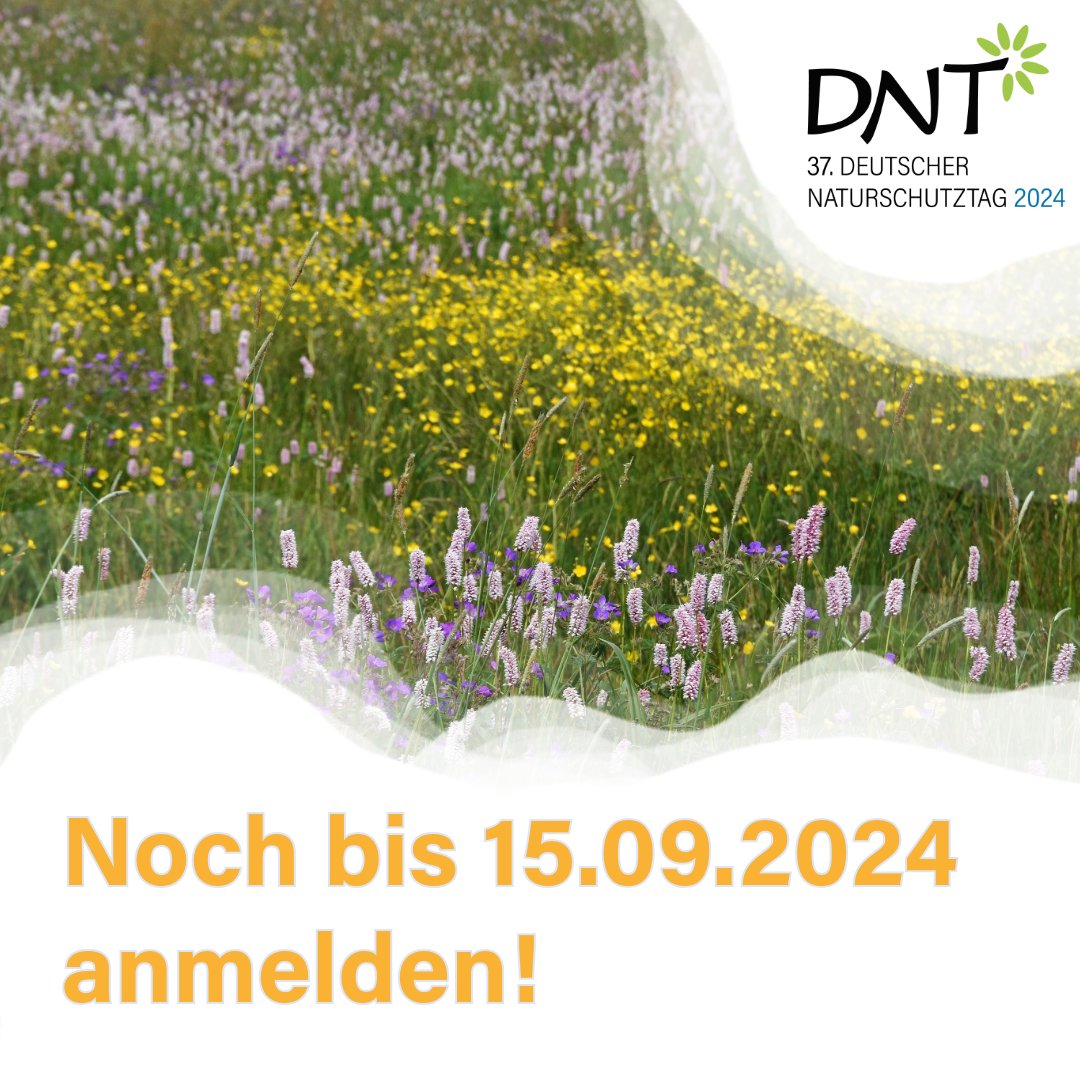 Jetzt noch bis zum 15. September 2024 für den 37. Deutschen Naturschutztag anmelden!

Hier geht es zur Anmeldung: deutscher-naturschutztag.de/service/tickets

#dnt #dnt2024 #roadtoDNT #DeutscherNaturschutzTag #naturschutz #europanatürlichverbunden