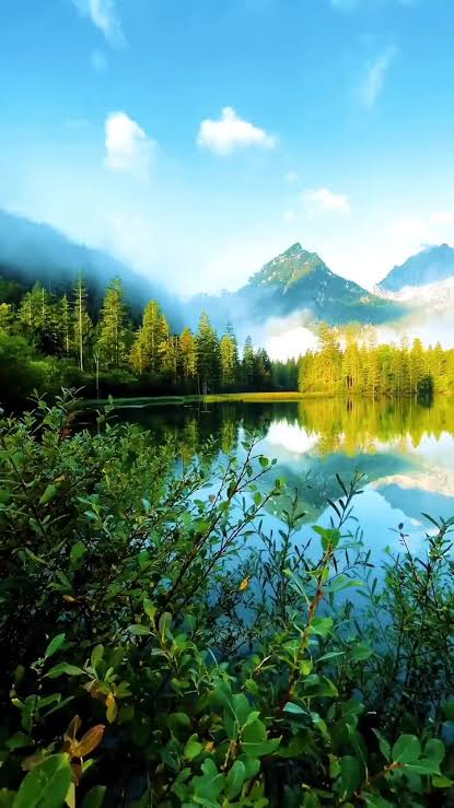 MUHAMMED (@cevr81314) on Twitter photo 