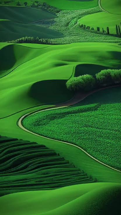 MEHMET ÇELİK (@ck99360) on Twitter photo 