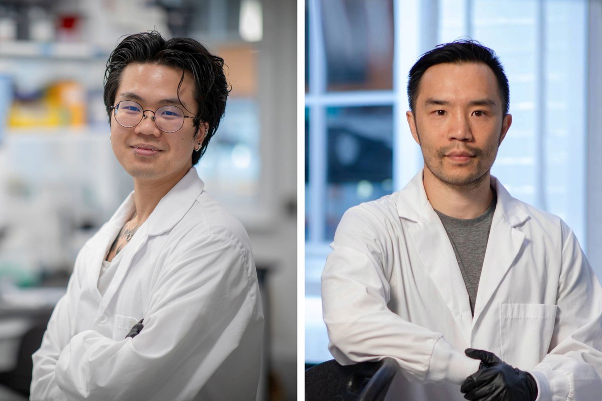 Researchers at the University of Toronto have made an advancement in DNA-based neural networks, paving the way for more portable and scalable molecular computers: discover.bme.utoronto.ca/researchers-de…