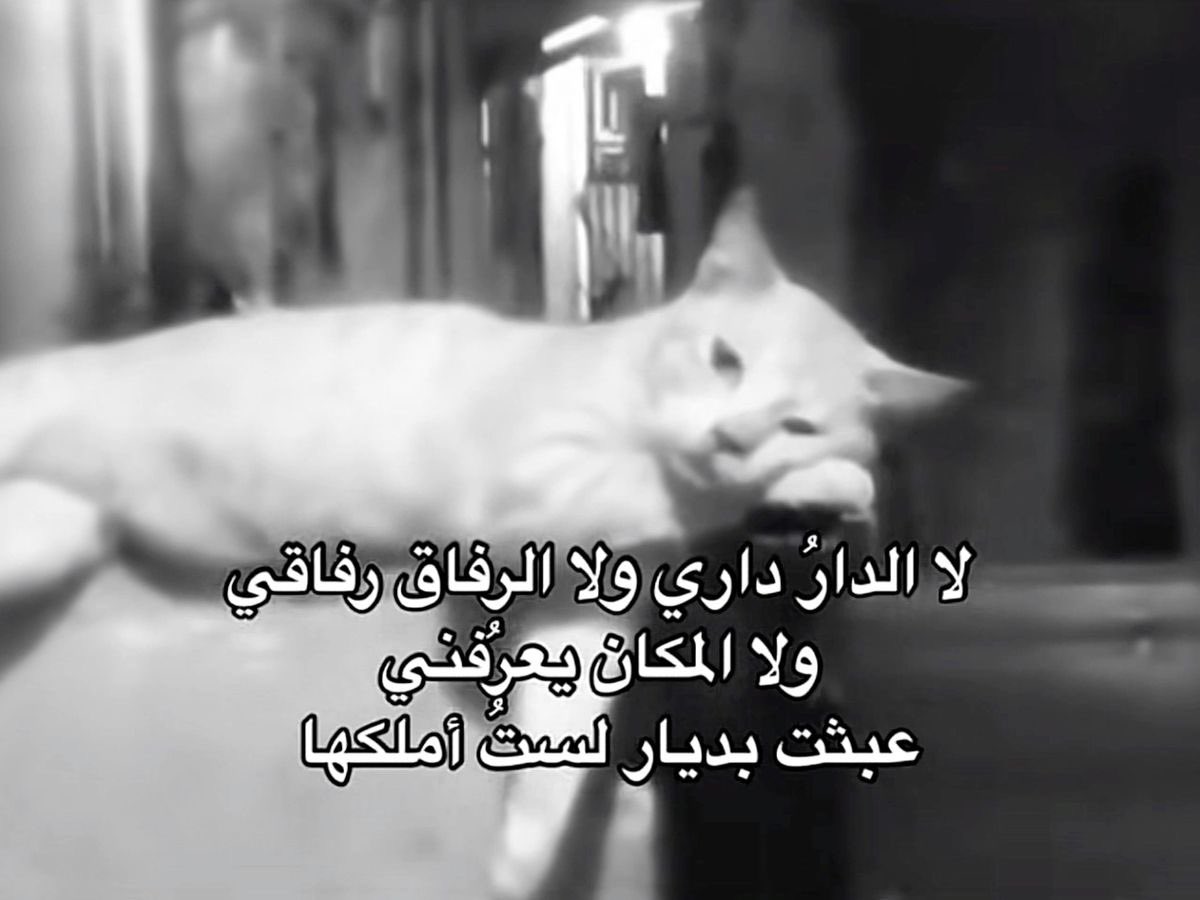 ديّسمبر (@_tlllr) on Twitter photo 