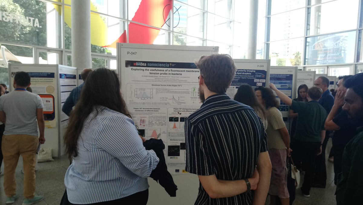 M. Carmen Gonzalez Garcia tweet media