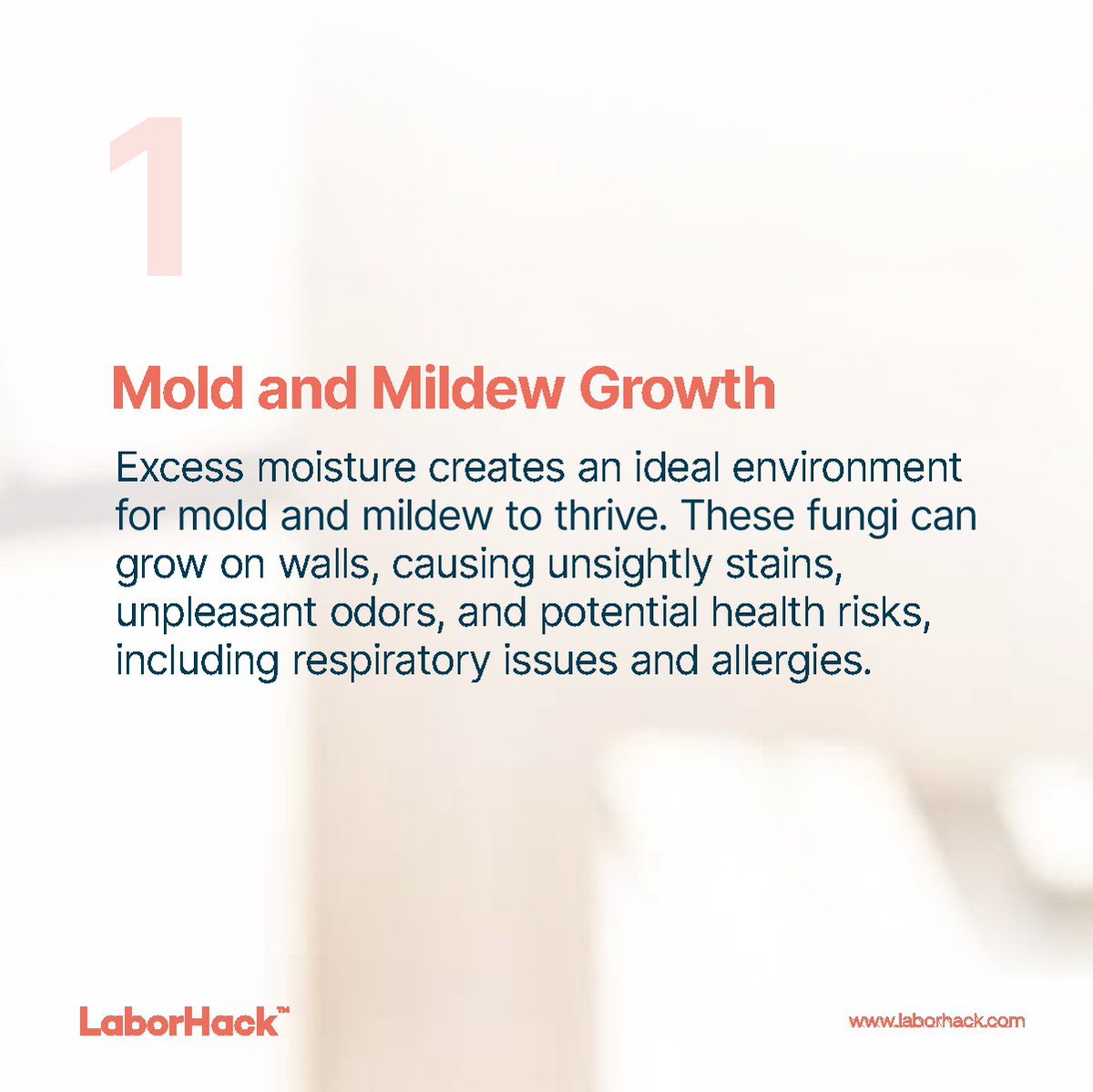 Laborhack_ng's tweet image. Addressing moisture damage early can help you prevent long-term issues, prevent unnecessary spending and safeguard your health.

#LaborHack #walls #avoidmoisture #repair #maintenance #hireapro