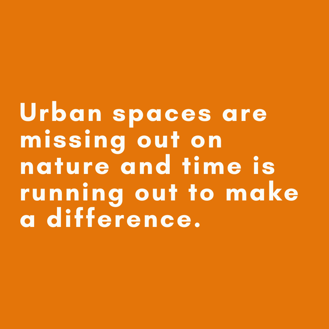 NaturalNeighbours tweet media