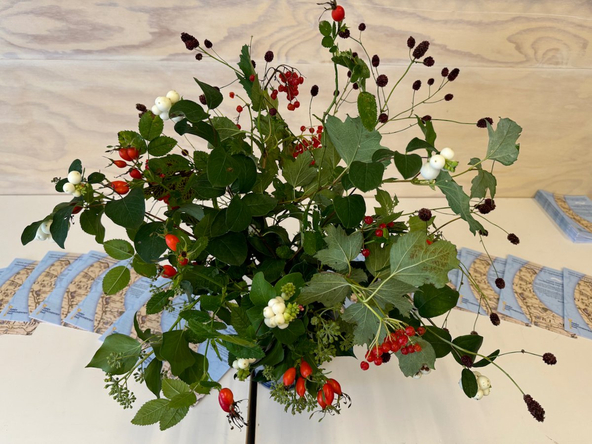 Zijn jullie er klaar voor? Wij wel. Morgen, zaterdag 14 september Open Monumentendag. Rondje Middelsee, met o.a. rondleidingen in het Doktershûs in Stiens. Info stinze-stiens.nl  Wolkom!