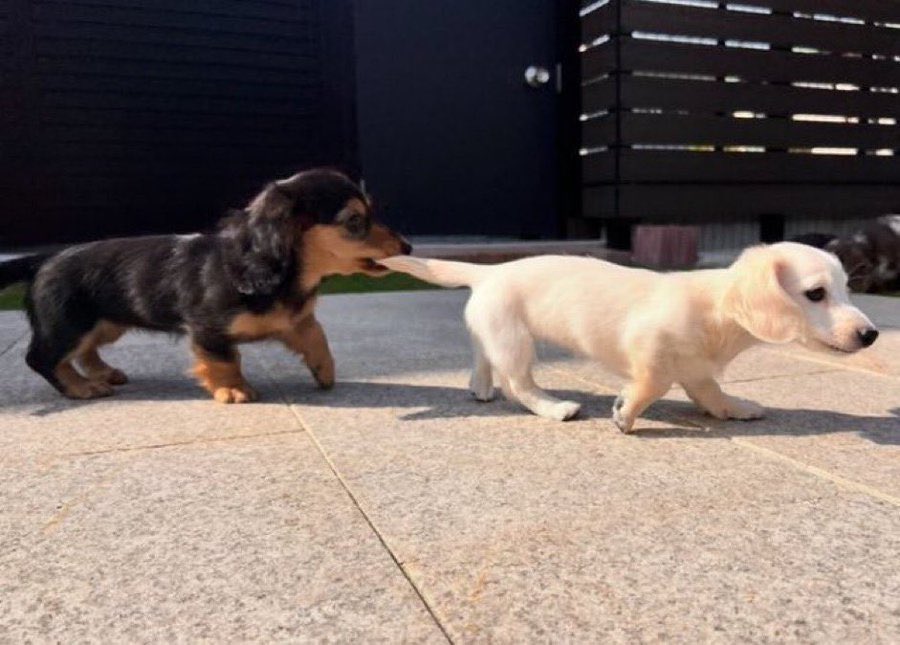 h0n3yee's tweet image. 니갈길은 이쪽이야
                                        아니지이쪽입니다