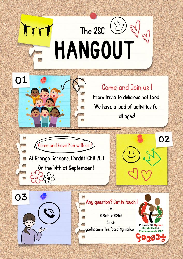 Cardiff Youth Led Grant Panel tweet media