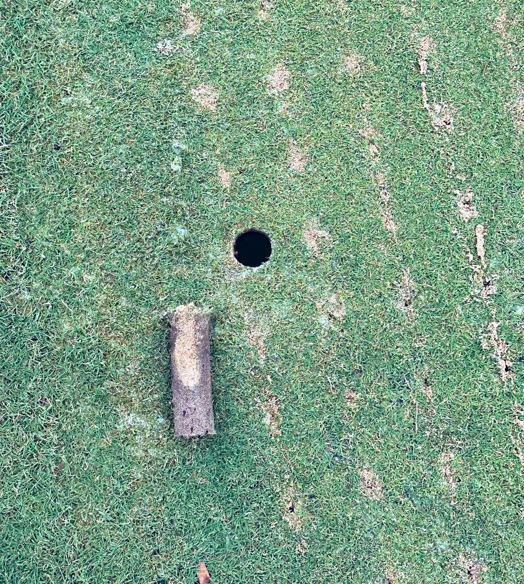 Total Turf Solutions LLC tweet media