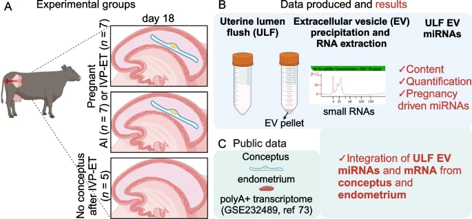 Biase Lab tweet media