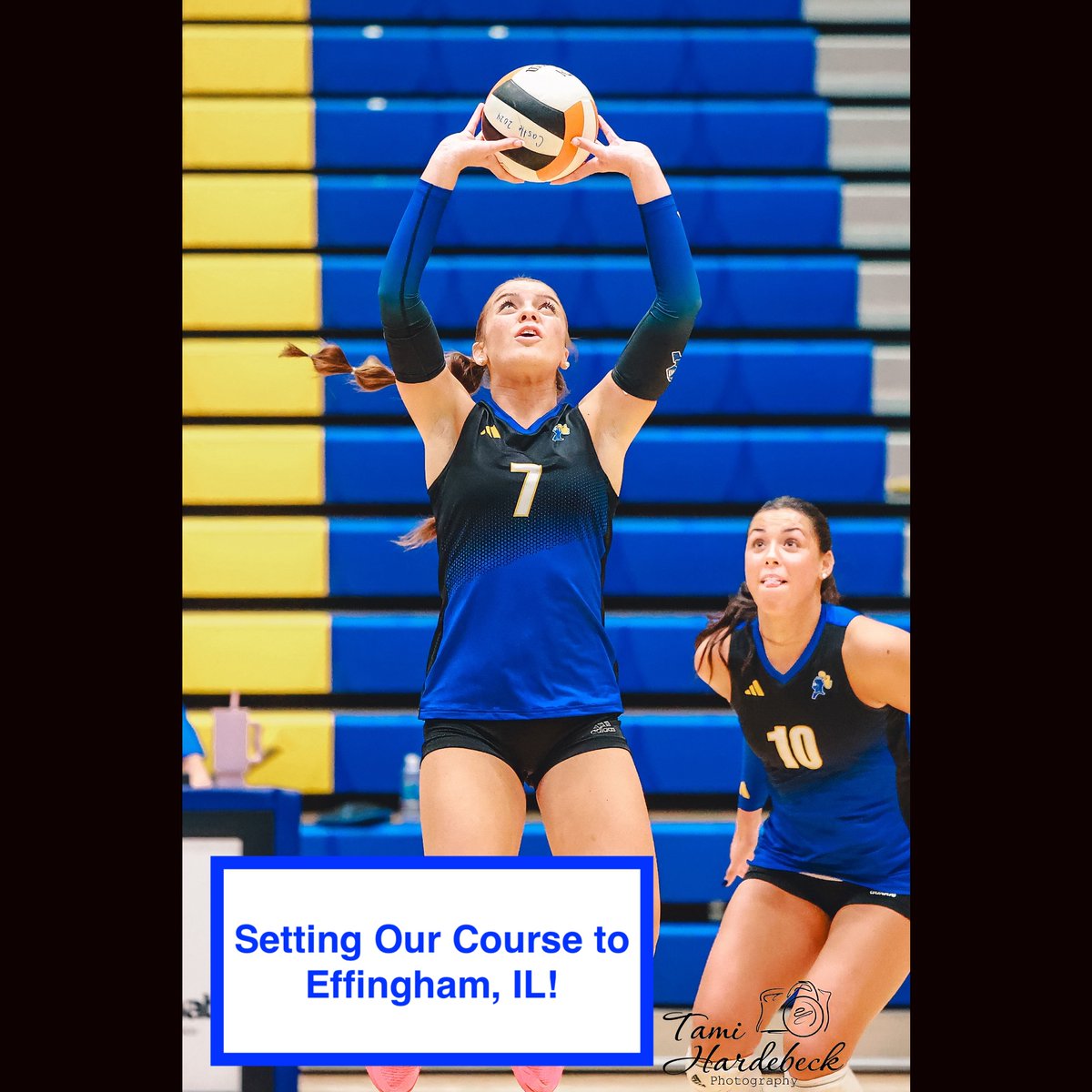 Castle Volleyball tweet media