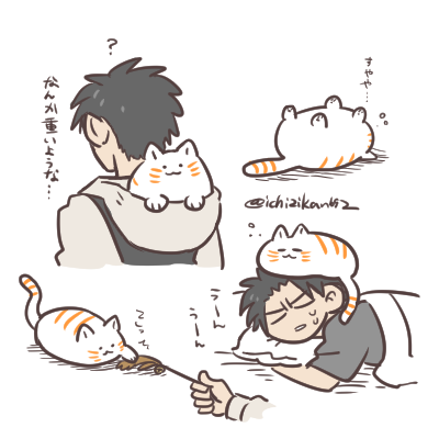 らくがき…模様がオレンジなだけでフツーの白い猫と戯れたなら…ていう…その…アレです…普通の猫です。ヨシ! 