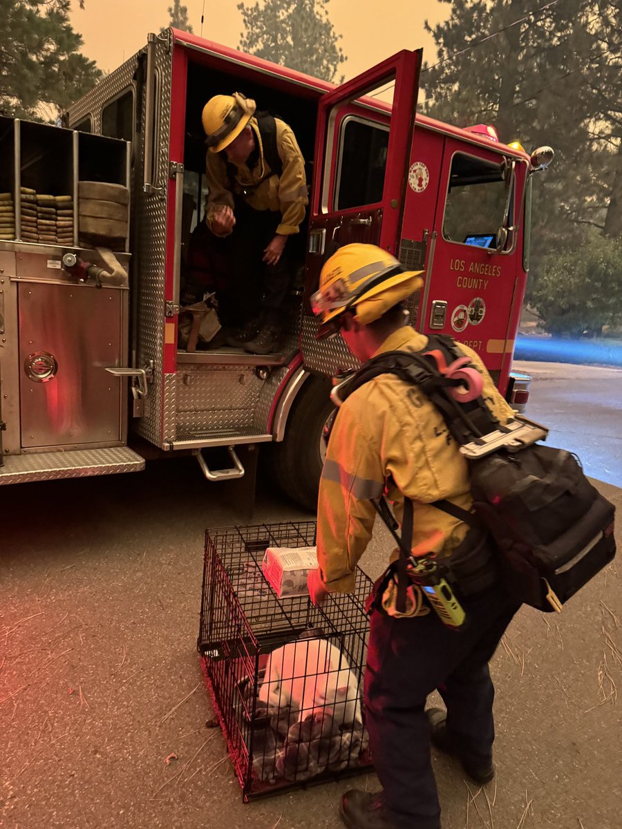 LACOFD's tweet photo. It’s been a busy week for FFs &amp; law enforcement, including your #LACoFD FFs, Air &amp; Wildland personnel &amp; dispatchers.

This week alone, LACoFD personnel have battled multiple brush fires in extreme heat. Personnel remain assigned to #BridgeFire &amp; #LineFire. https://t.co/9CEfB46NdV