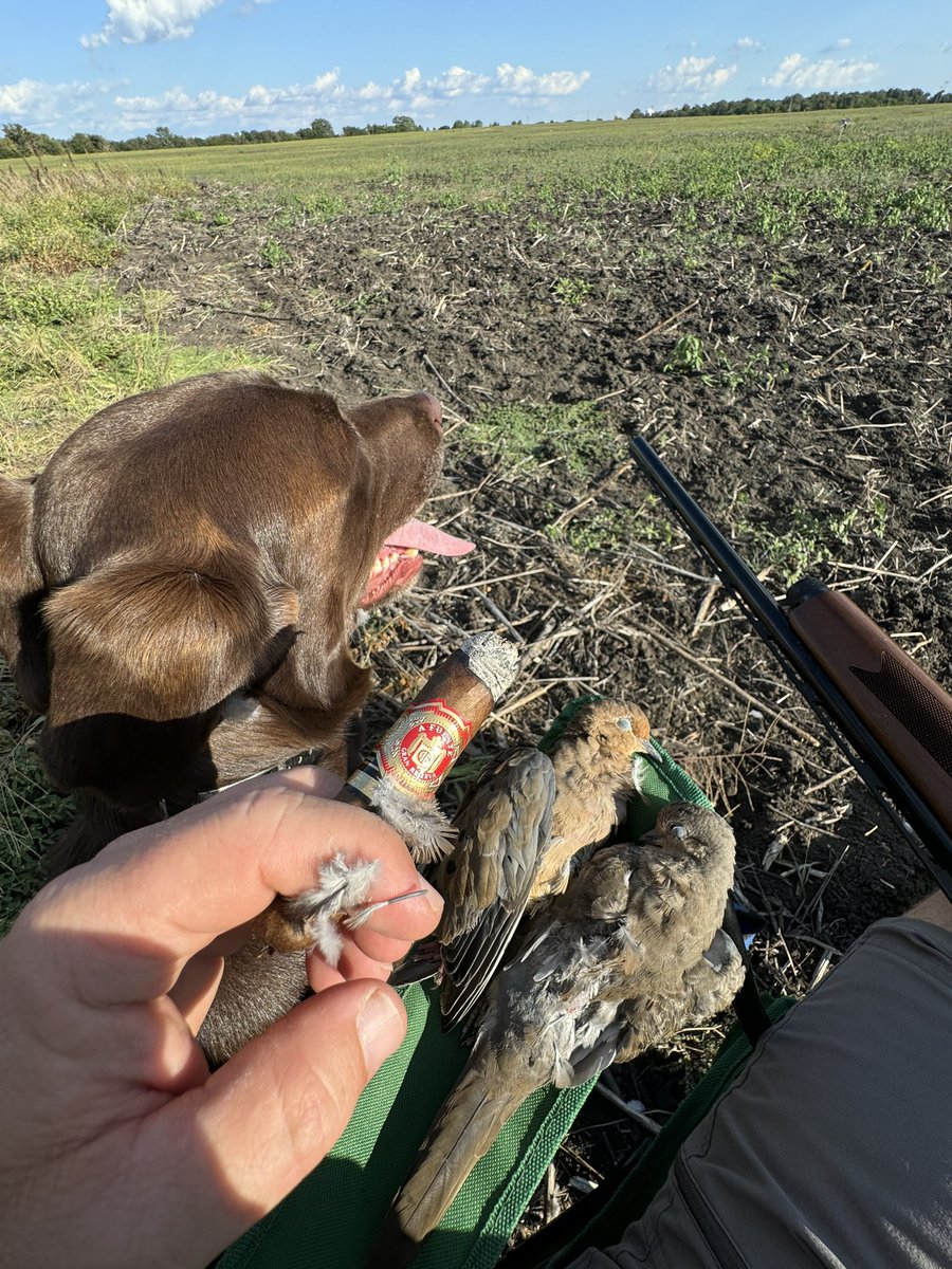 The best Arturo Fuentes have dove feathers on them.