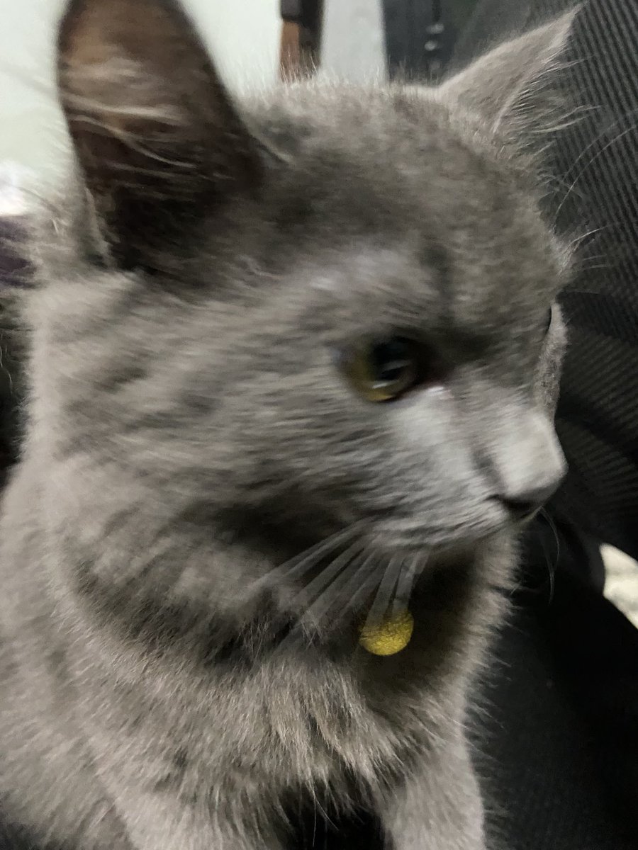 e4zava's tweet image. tako . . .♥️