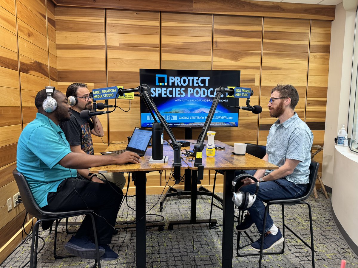 Global Center for Species Survival (@protectspecies) on Twitter photo Thrilled to be speaking with <a href="/ForTheSpiders/">Marc A. Milne</a> about spiders! We’re recording the episode right now. Keep an eye on this account to find out when the episode is published and available for your your listening enjoyment. <a href="/SS_Henriques/">𝕊𝕖𝕣𝕘𝕚𝕠 ℍ𝕖𝕟𝕣𝕚𝕢𝕦𝕖𝕤 (he/him/his)</a> <a href="/ivandesamtee/">Dr. Sam T. IVANDE</a> Thrilled to be speaking with <a href="/ForTheSpiders/">Marc A. Milne</a> about spiders! We’re recording the episode right now. Keep an eye on this account to find out when the episode is published and available for your your listening enjoyment. <a href="/SS_Henriques/">𝕊𝕖𝕣𝕘𝕚𝕠 ℍ𝕖𝕟𝕣𝕚𝕢𝕦𝕖𝕤 (he/him/his)</a> <a href="/ivandesamtee/">Dr. Sam T. IVANDE</a>