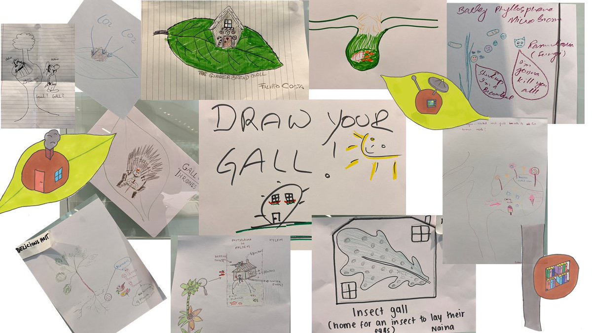 The session 'plant colonisers manipulating plant organ development' has come to an end. We had lots of great presenters and discussions.
As well as creative drawings of what we would like to see in a plant organ if we would be the colonisers ourselves. Thanks you all!