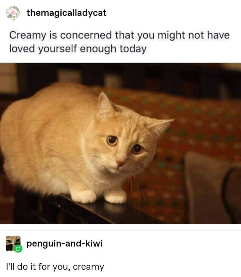 WholesomeMemes (@wholesomememe) on Twitter photo 