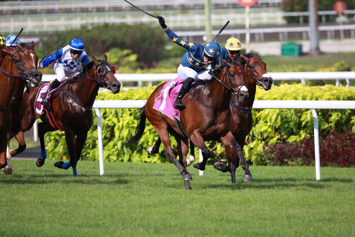 m.a.orfe2012.2013 tweet media