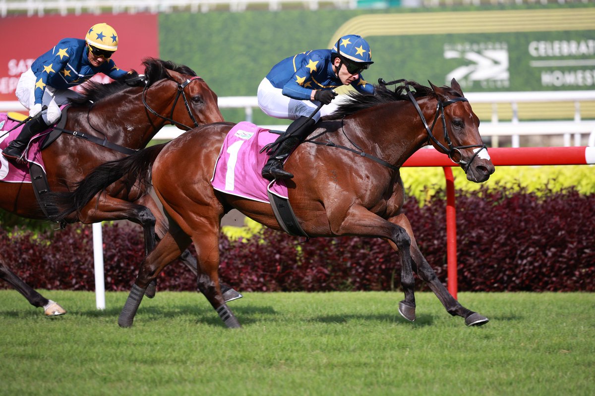 m.a.orfe2012.2013 tweet media