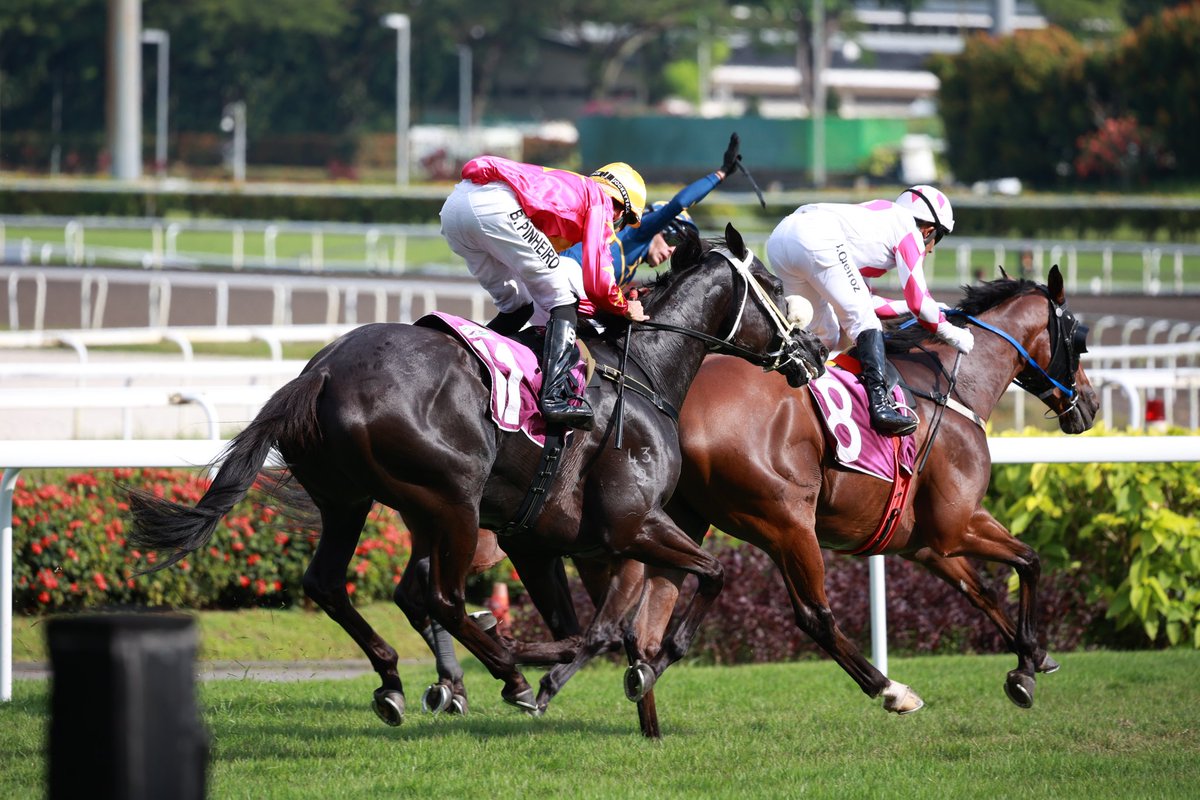 m.a.orfe2012.2013 tweet media