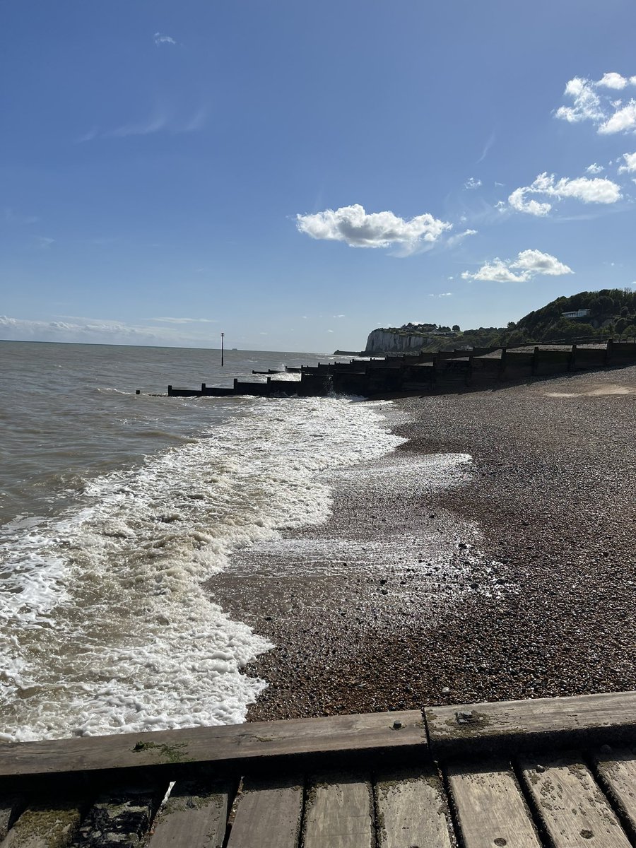 Sandra🧜🏻‍♀️🌊livelifelikeanocean🌊🐋 tweet media